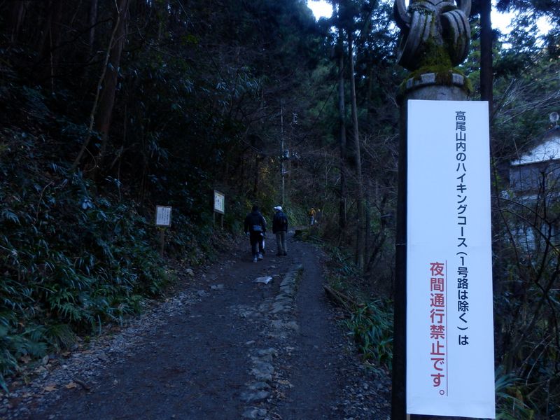 ここから先が6号路