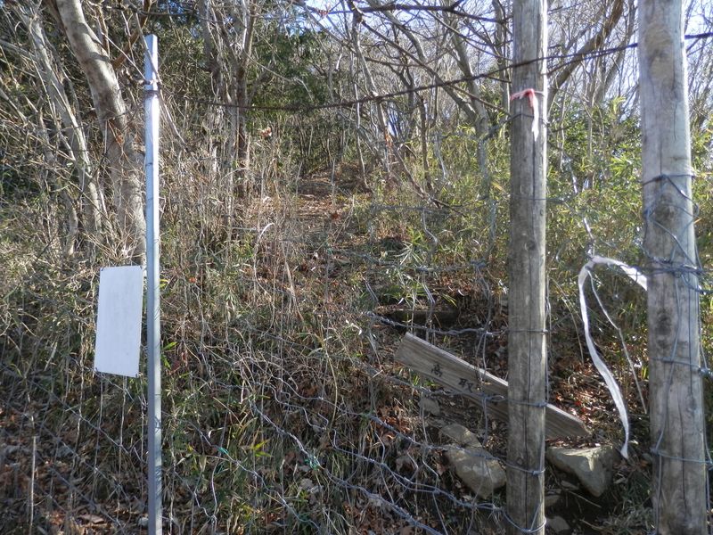 この扉を通過する。見逃し注意！