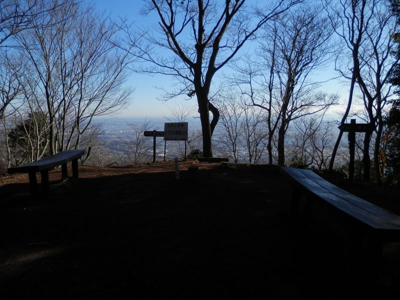 高取山頂。木が「シェー」