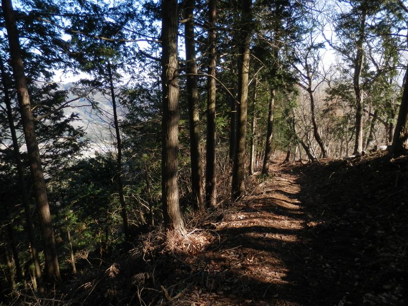 鶴丸尾根を軽快に下って行く