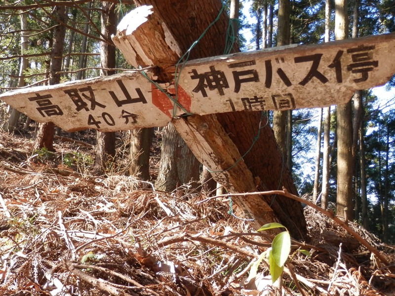 枯れ木と共に倒れてしまった古い道標