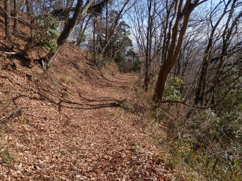 眺望も日当たりもよかった鶴丸尾根