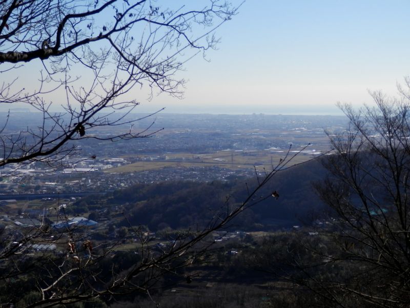 鶴丸尾根より、湘南の海を望む