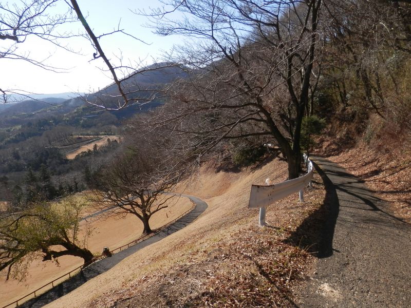 ゴルフ場を左に見ながら舗装路を下って行く