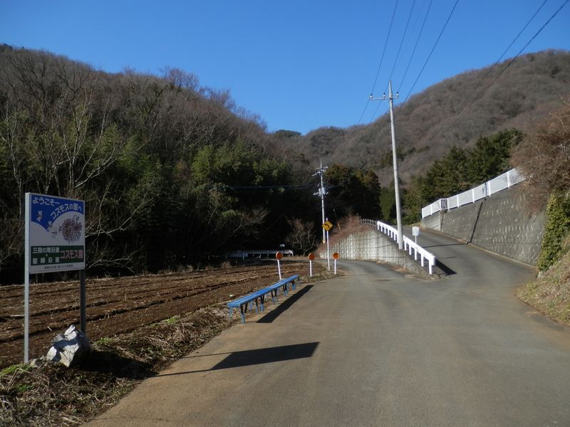 右の道を下りてきて、左の道に進む