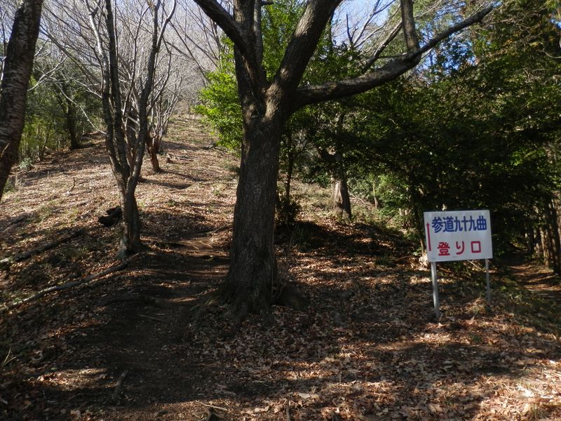 聖峰不動尊参道。正面は九十九曲、右は女坂