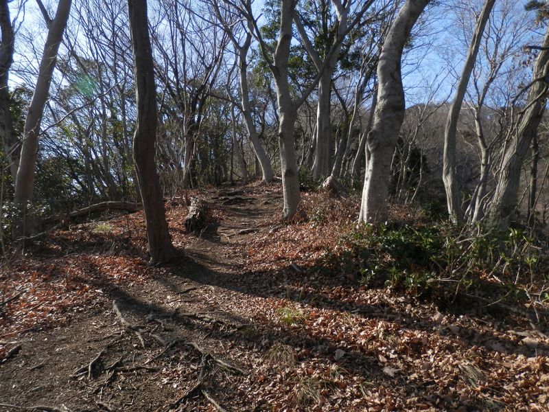 聖峰から高取山に向かう