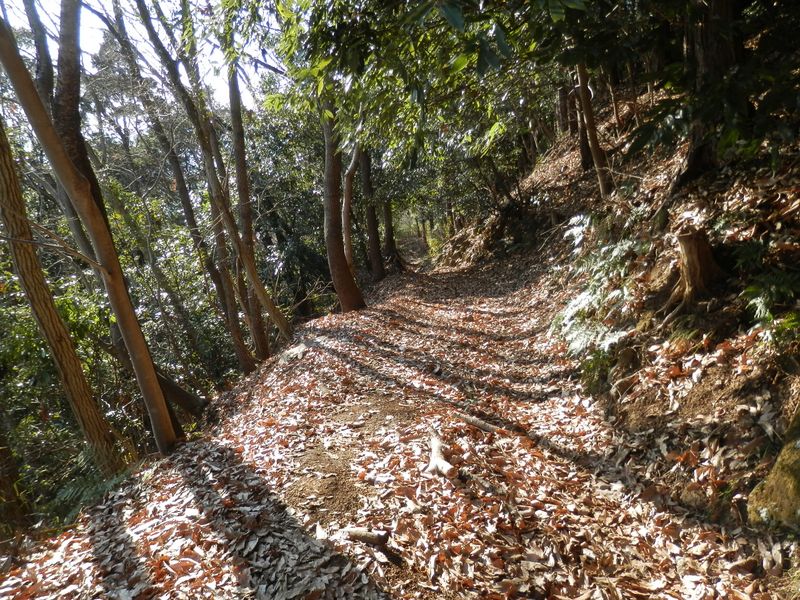 ぽかぽか陽を浴びながら