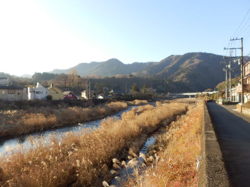 中津川沿いに