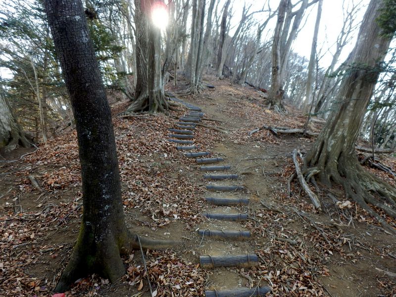 階段の道を登る