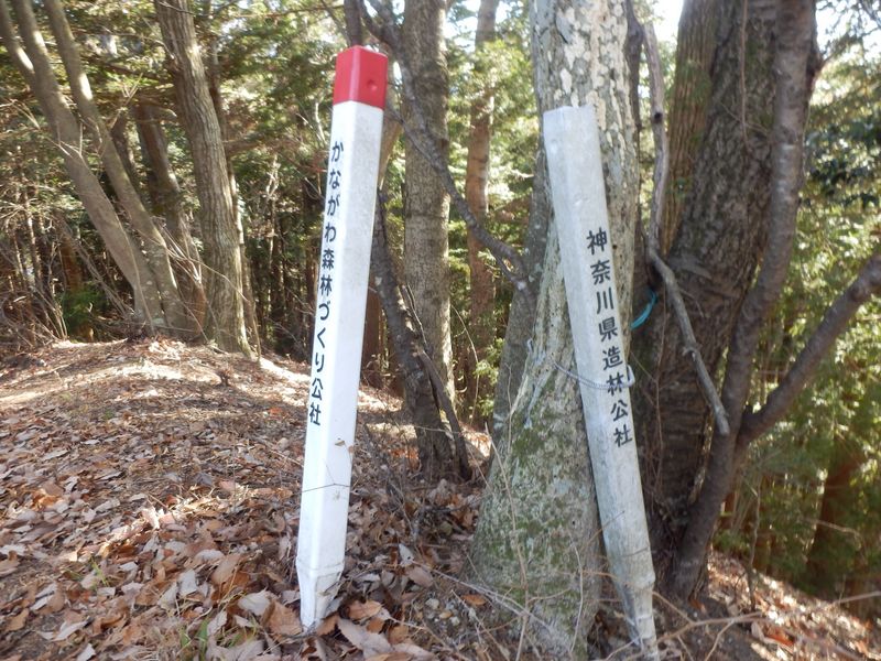 神奈川県の公社の杭