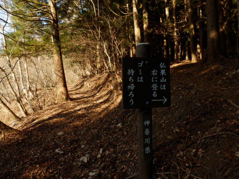 みやがせ道を探索する