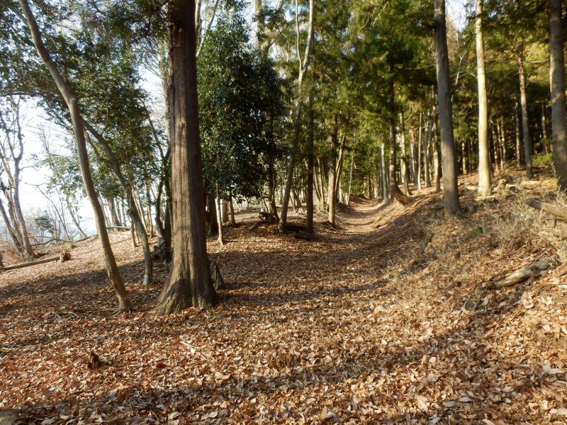 むかしみちムード