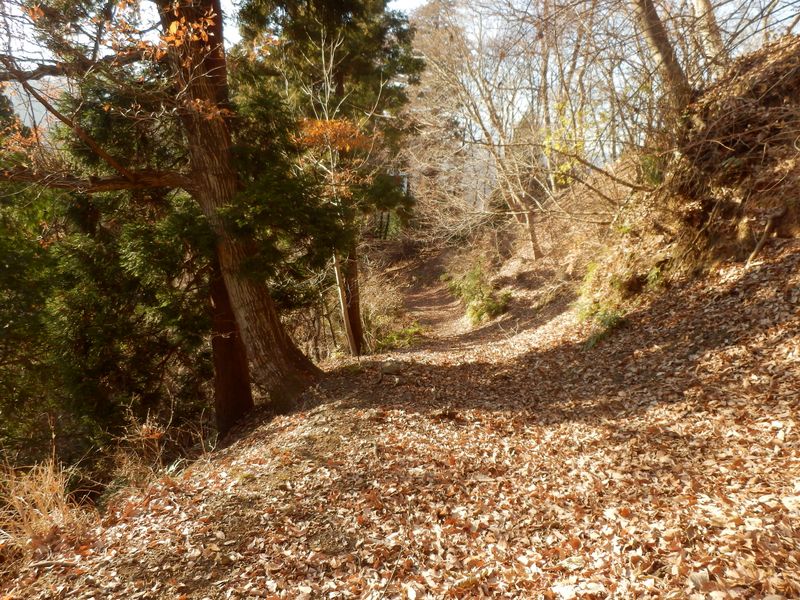 あの先で左にカーブ