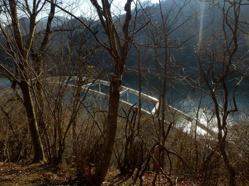 みやがせ道が突然終わった