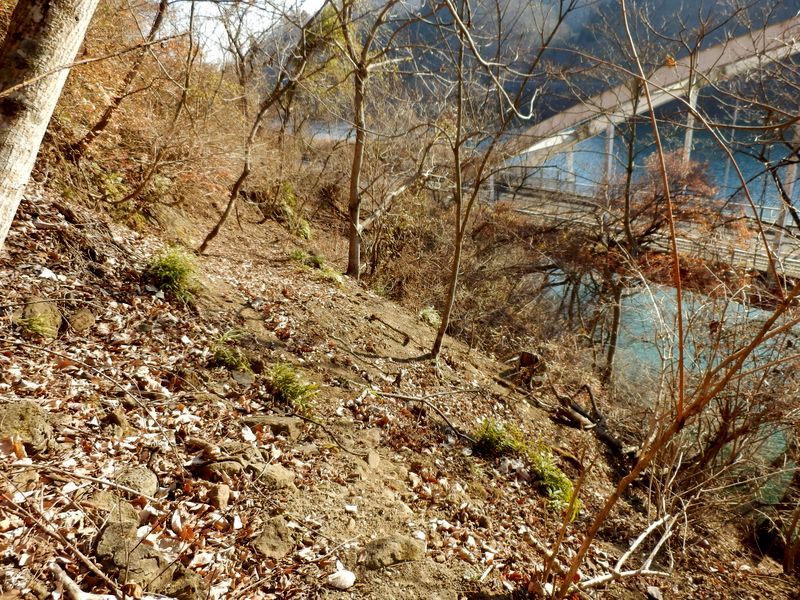 滑落したらドボン