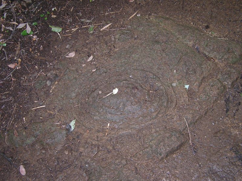 年輪紋様のような岩