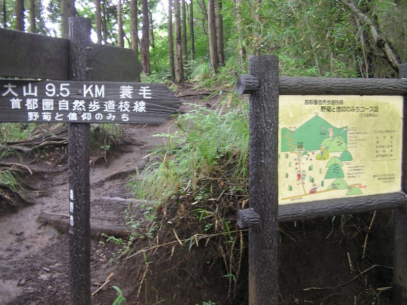 これより「野菊と信仰のみち」に入る