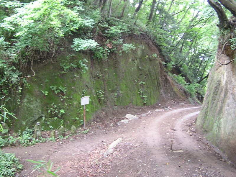 矢倉沢往還の善波峠は、夕暮れのように暗かった