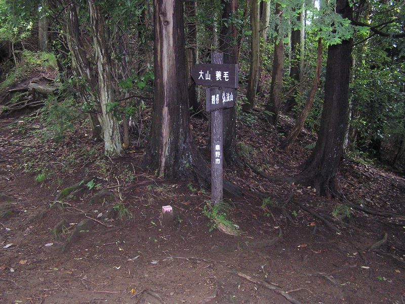 尾根道を大山　蓑毛方面に折れて少し下る