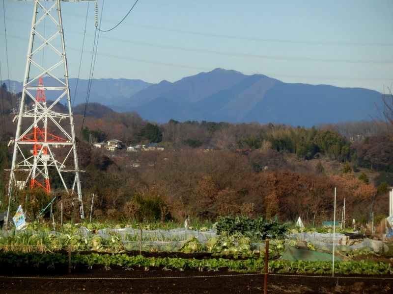 権現山稜と小金沢連嶺を望む
