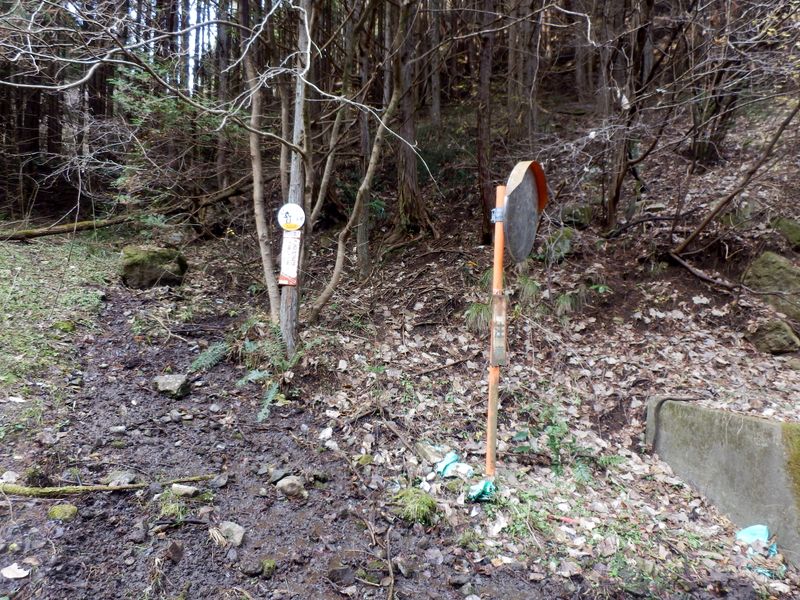 高塚山東尾根取り付き