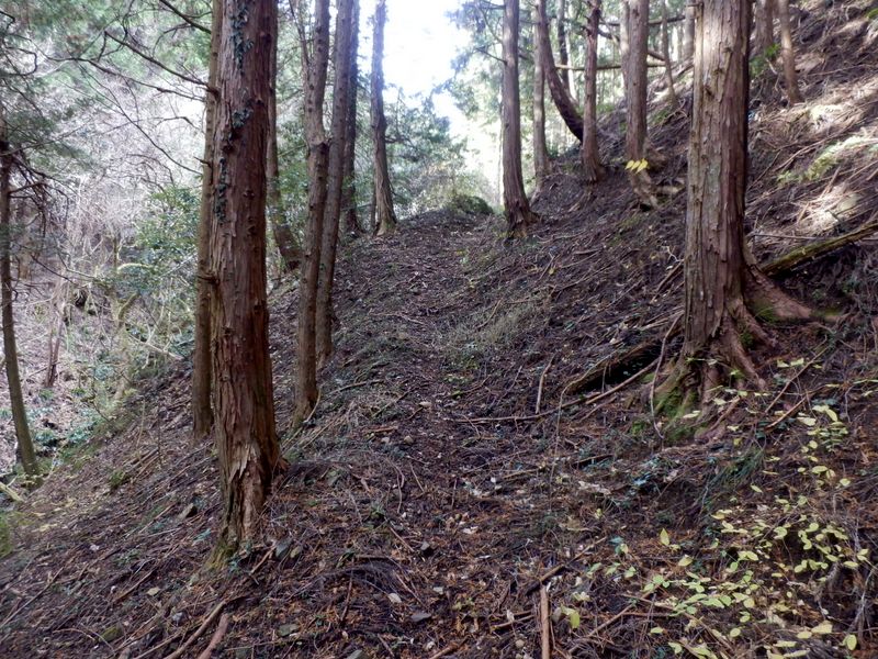 沢沿いの仕事道