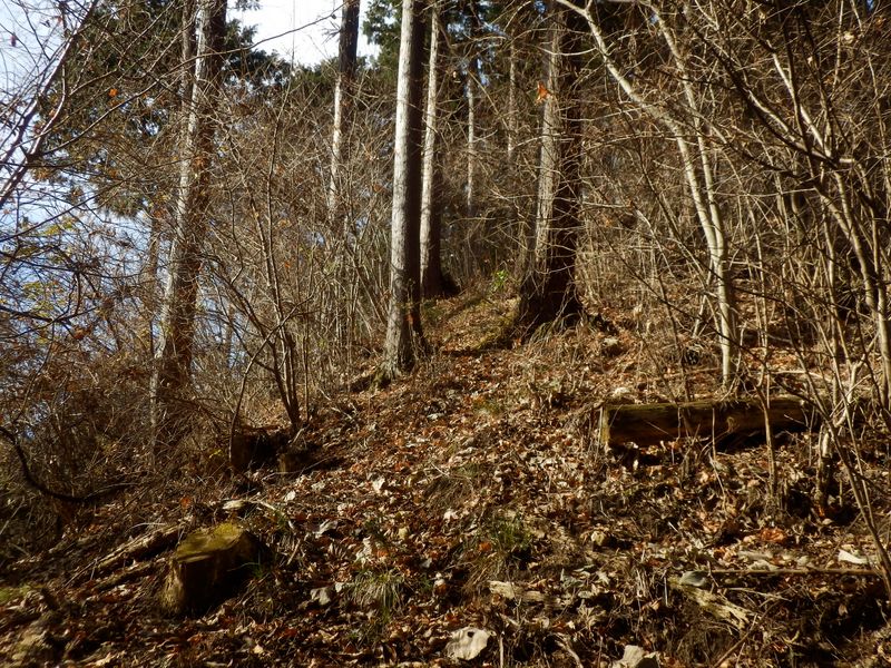 明るくて気持ちよい登り