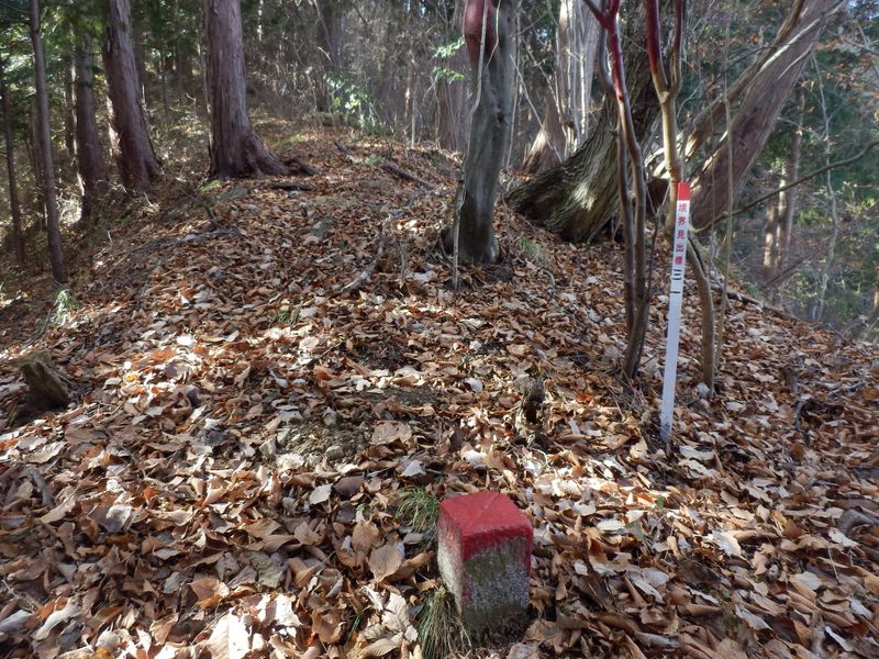 林野庁の境界見出標