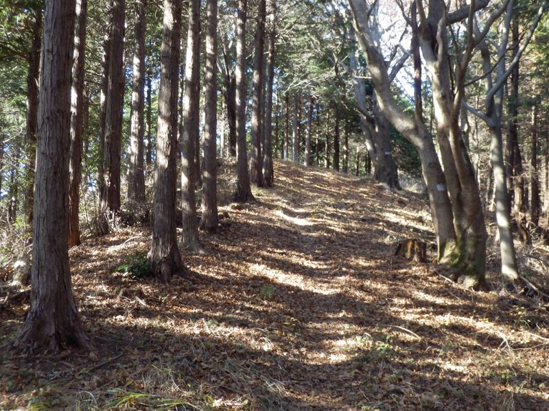 下っては登り、また下っては登り
