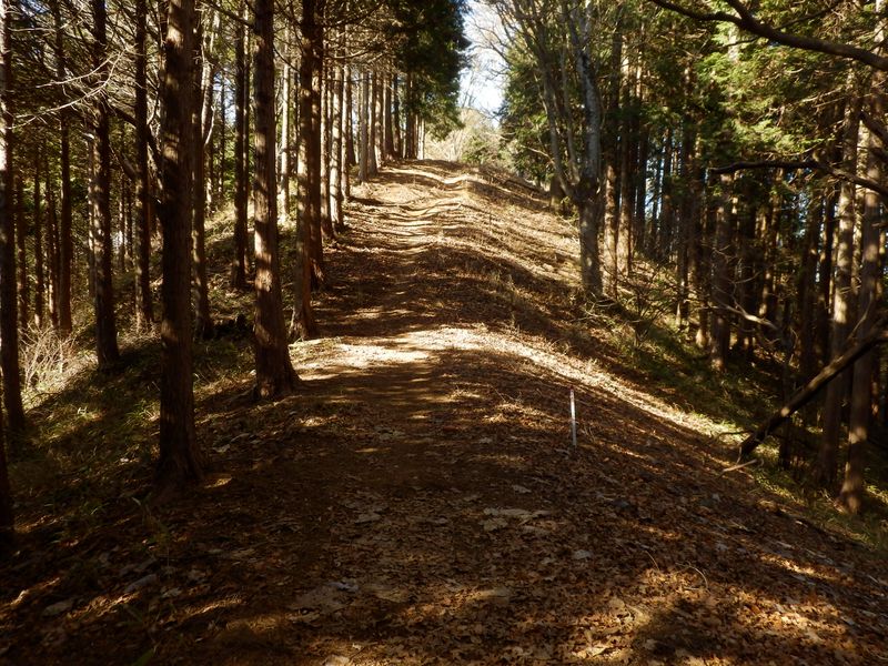 あそこが石老山の頂上