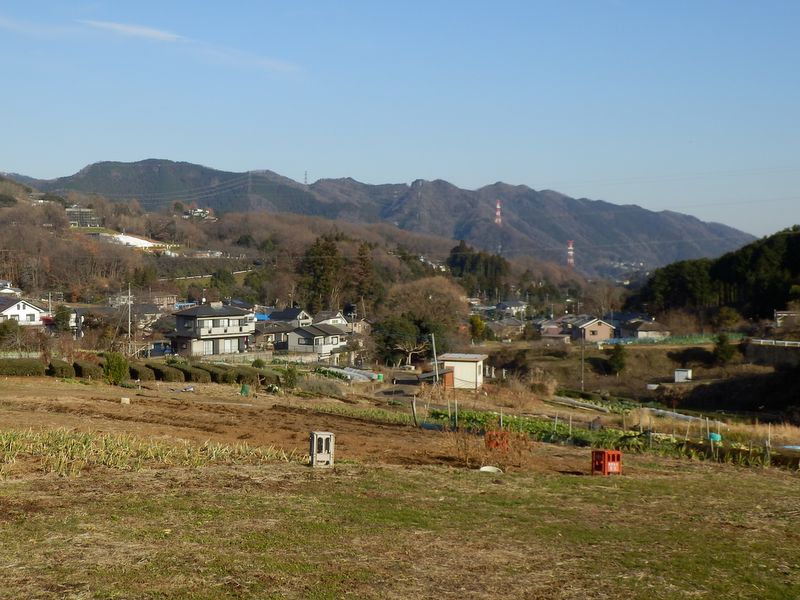 奥高尾山稜を望む
