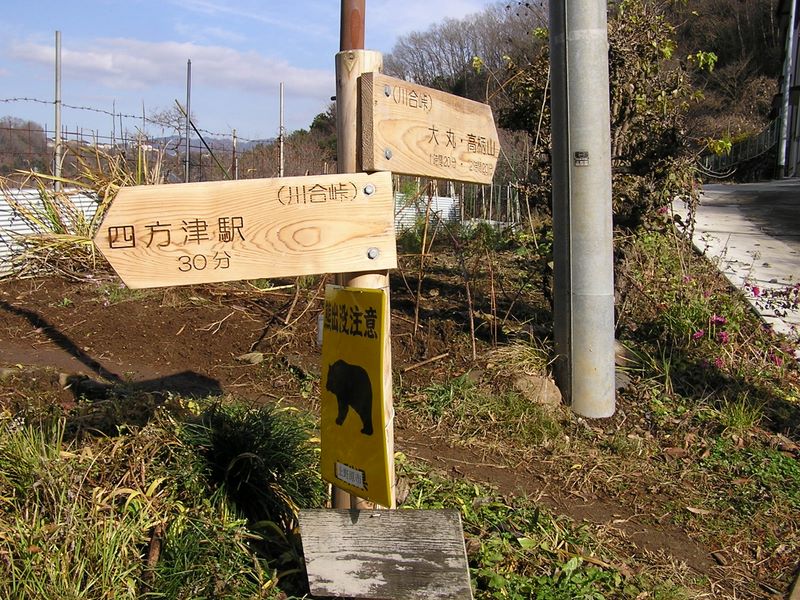 あまり峠らしく見えない川合峠