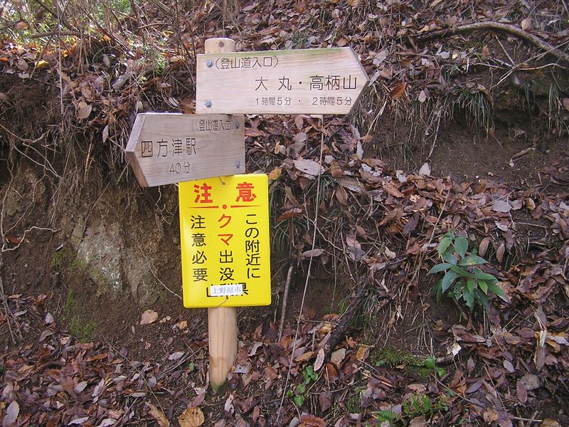 ここから登山道
