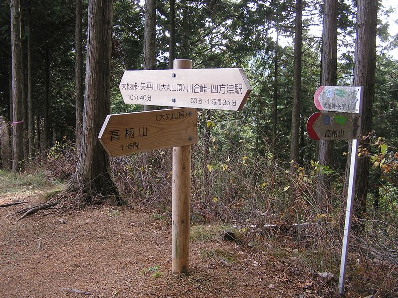 高柄山 -- 大丸（おおまる）山頂