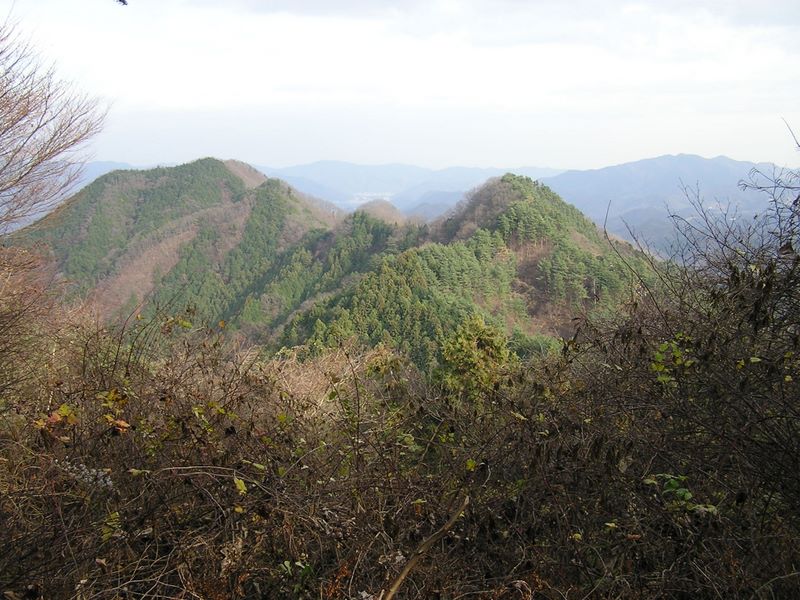 高柄山 -- 大丸山頂から高柄山（左）を望む