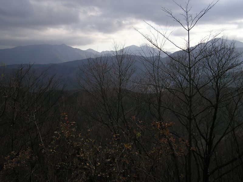 高柄山 -- 遠方、中よりに、蛭ヶ岳、檜洞丸、大室山