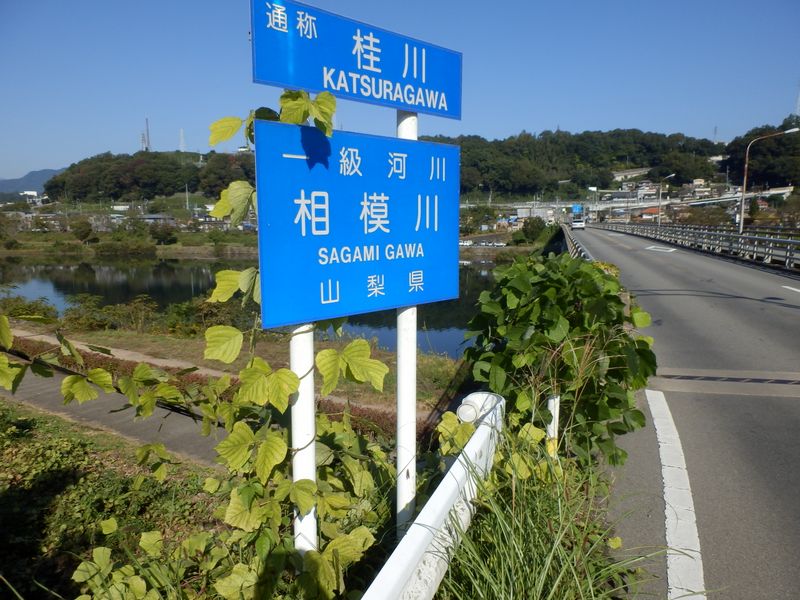 通称桂川というのは