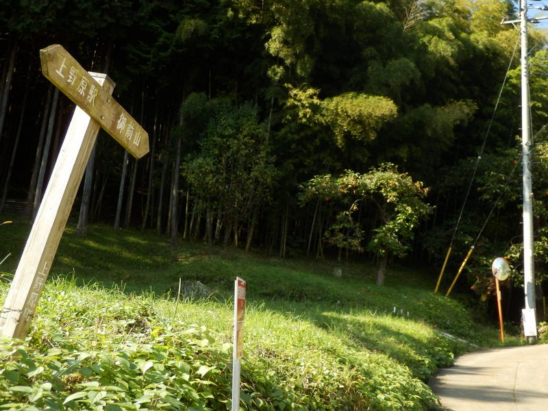 本日初めて目にした道標