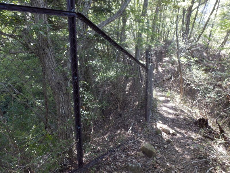 ゴルフ場のフェンス