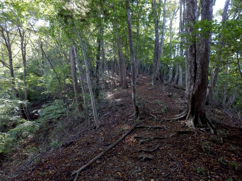 高柄山頂まであと少し