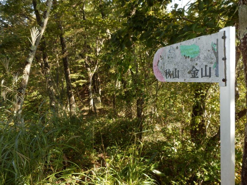 金山に向かって下山する