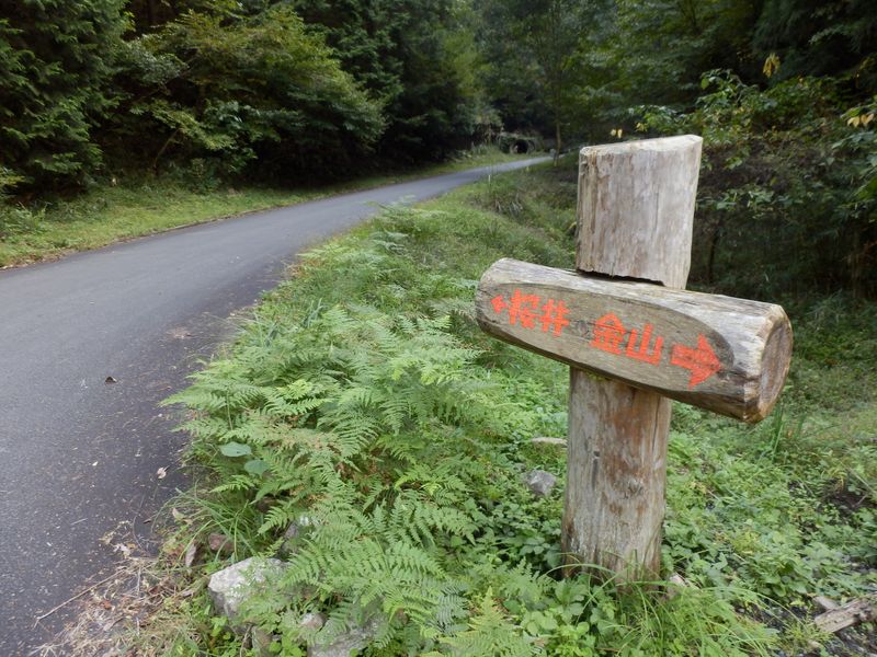 右折して桜井に