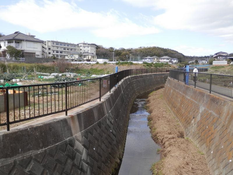川沿いの遊歩道