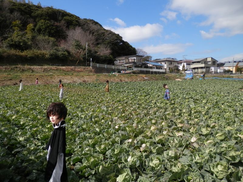 ちょっと怖い案山子