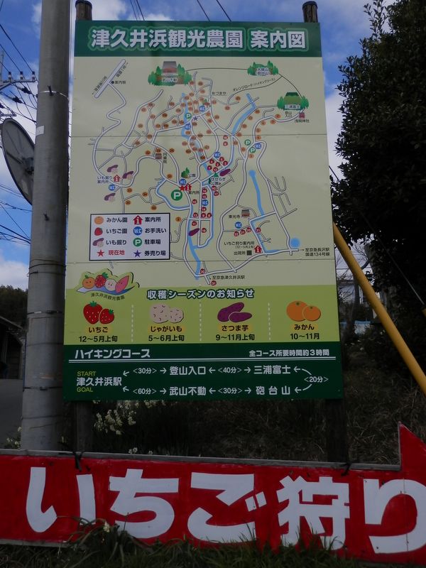 津久井浜観光農園案内図