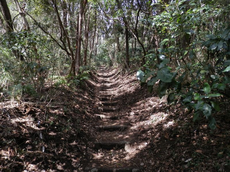 武山への登山道