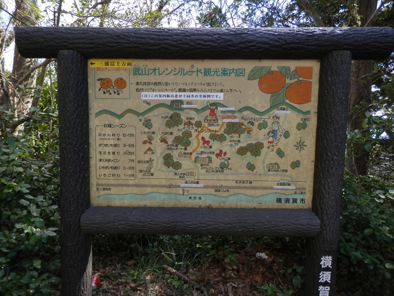 オレンジルート