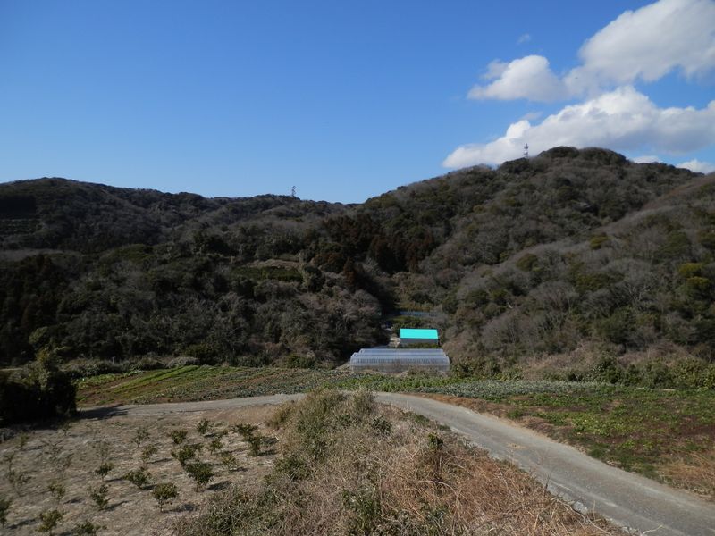 砲台山と武山を望む