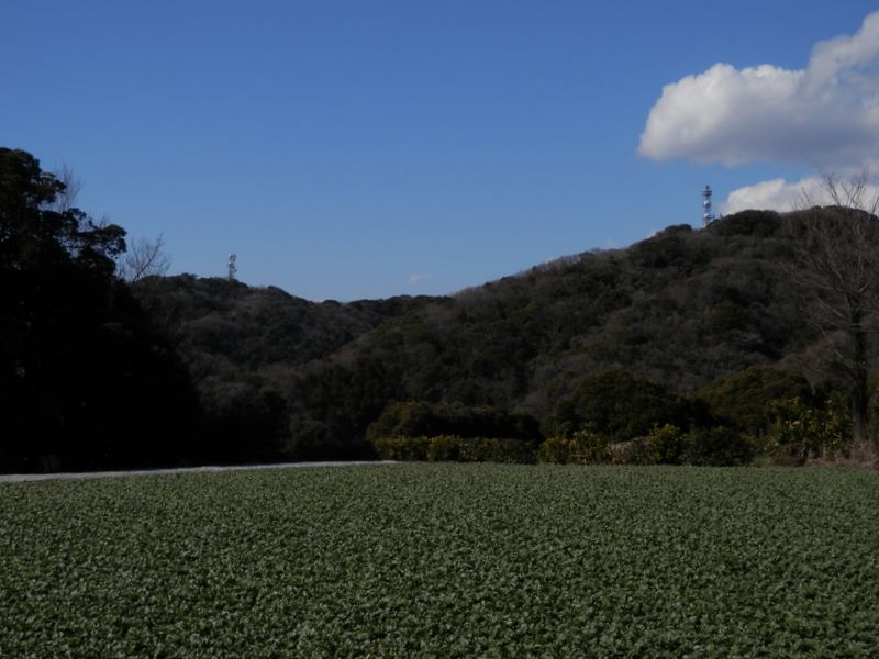 砲台山と武山を振り返る